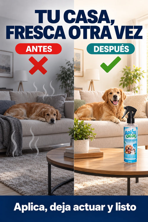 Tu casa fresca otra vez: sala con perro antes y despues de usar Adios Olor
