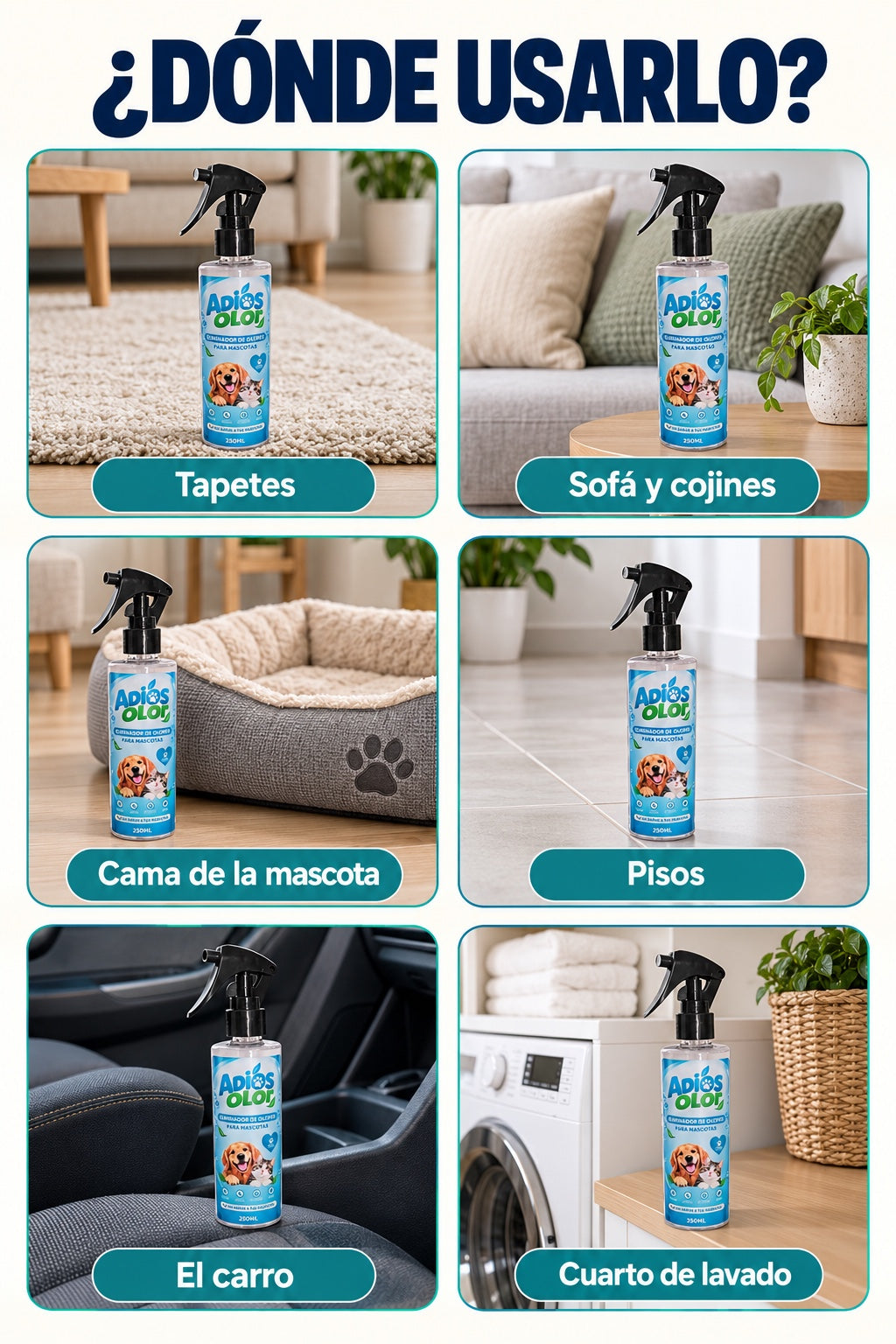 Donde usar Adios Olor: tapetes, sofa, cama de la mascota, pisos, carro y cuarto de lavado