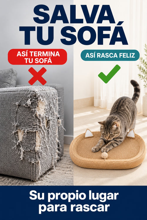 Salva tu sofa: sofa aranado frente a gato rascando la cama de yute