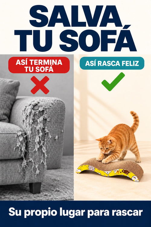 Salva tu sofa: sofa aranado frente a gato rascando el rascador de carton