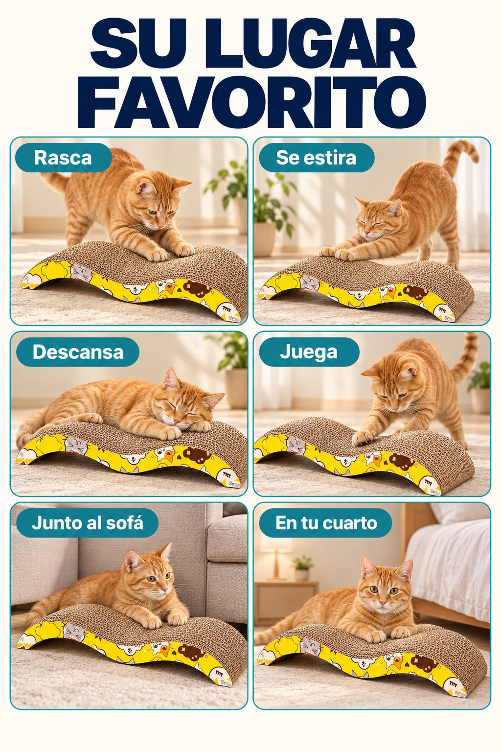 Gato usando el rascador de carton para rascar, estirarse, descansar y jugar